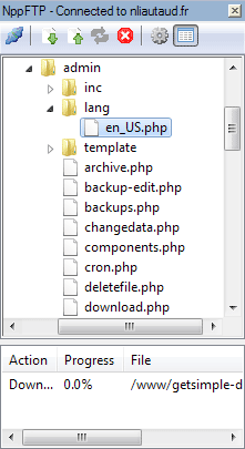 notepadpp:plugins:nppftp:panel_ftp.png